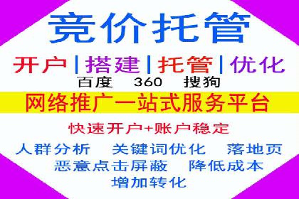 百度推广代运营案例：案例分享：打造行业领军品牌